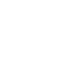 Holmø Group